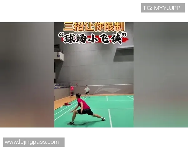 羽毛球技艺的深度解析：探秘北京羽毛球队的防守与反击策略